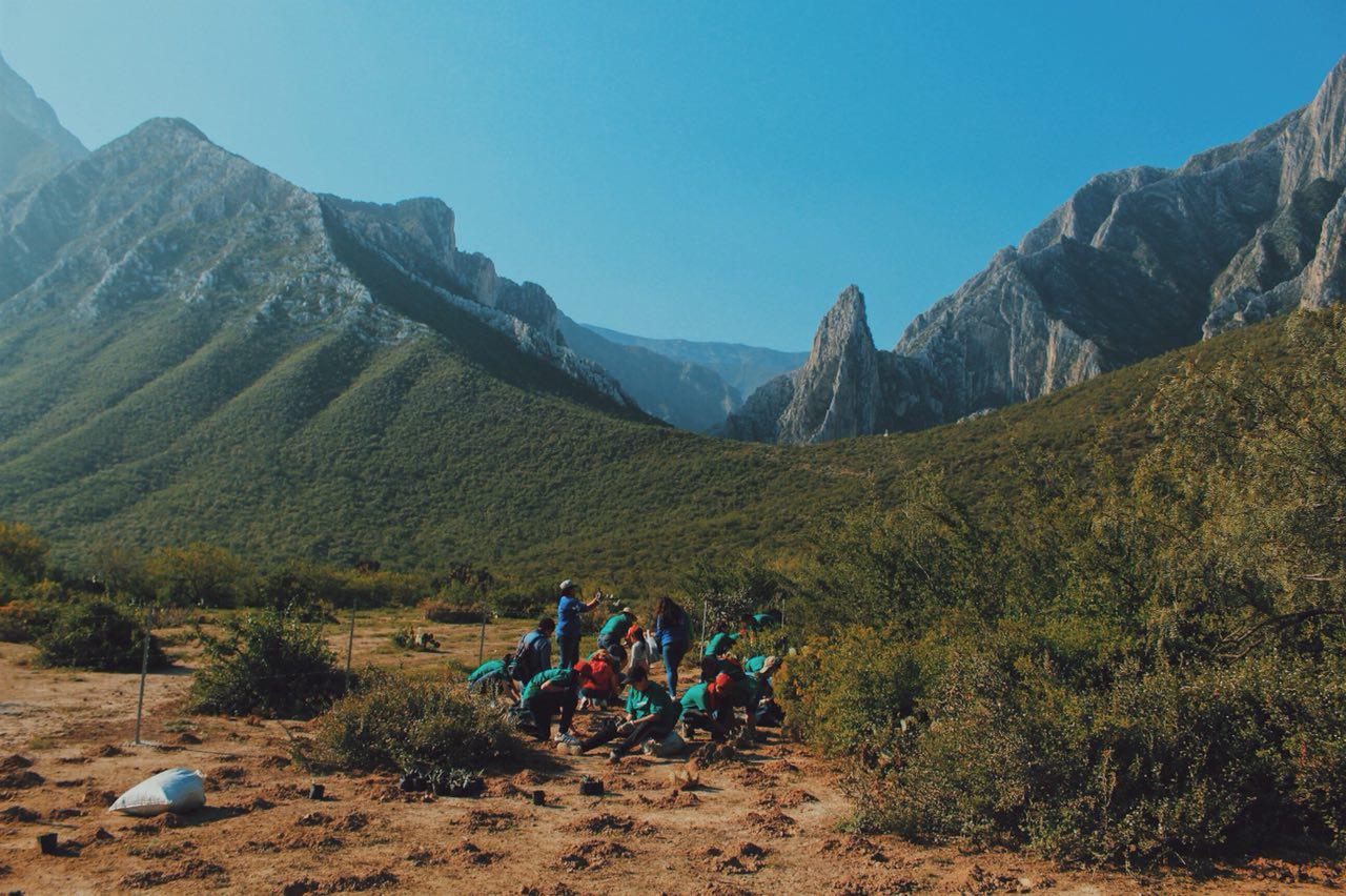 Reforestation day in Mexico