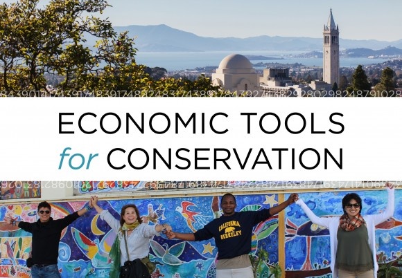 Economic Tools for Conservation