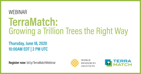 WEBINAR | TerraMatch: Growing a Trillion Trees the Right Way
