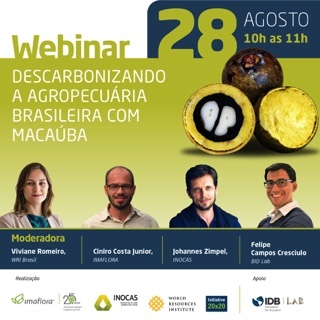 Carbon Sequestration of Inocas Macauba Plantations in Brazil
