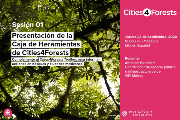 Presentación de la Caja de Herramientas de Cities4Forests