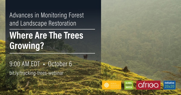 Where Are The Trees Growing? Advances in Monitoring Restoration