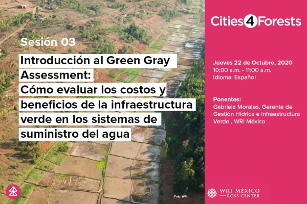 Introducción al Green Gray Assessment, Cómo evaluar los costos y beneficios de la infraestructura Verde en los sistemas de suministro del agua