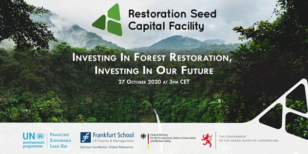 Investing in Forest Restoration, Investing in Our Future