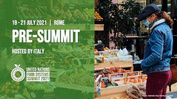 2021 UN Food Systems Summit: Pre-Summit Gathering