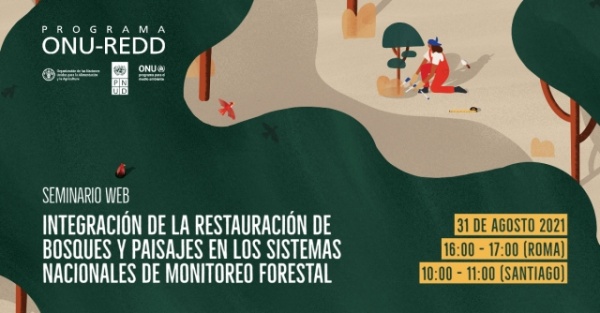 Integración de la restauración de bosques y paisajes en los sistemas nacionales de seguimiento forestal