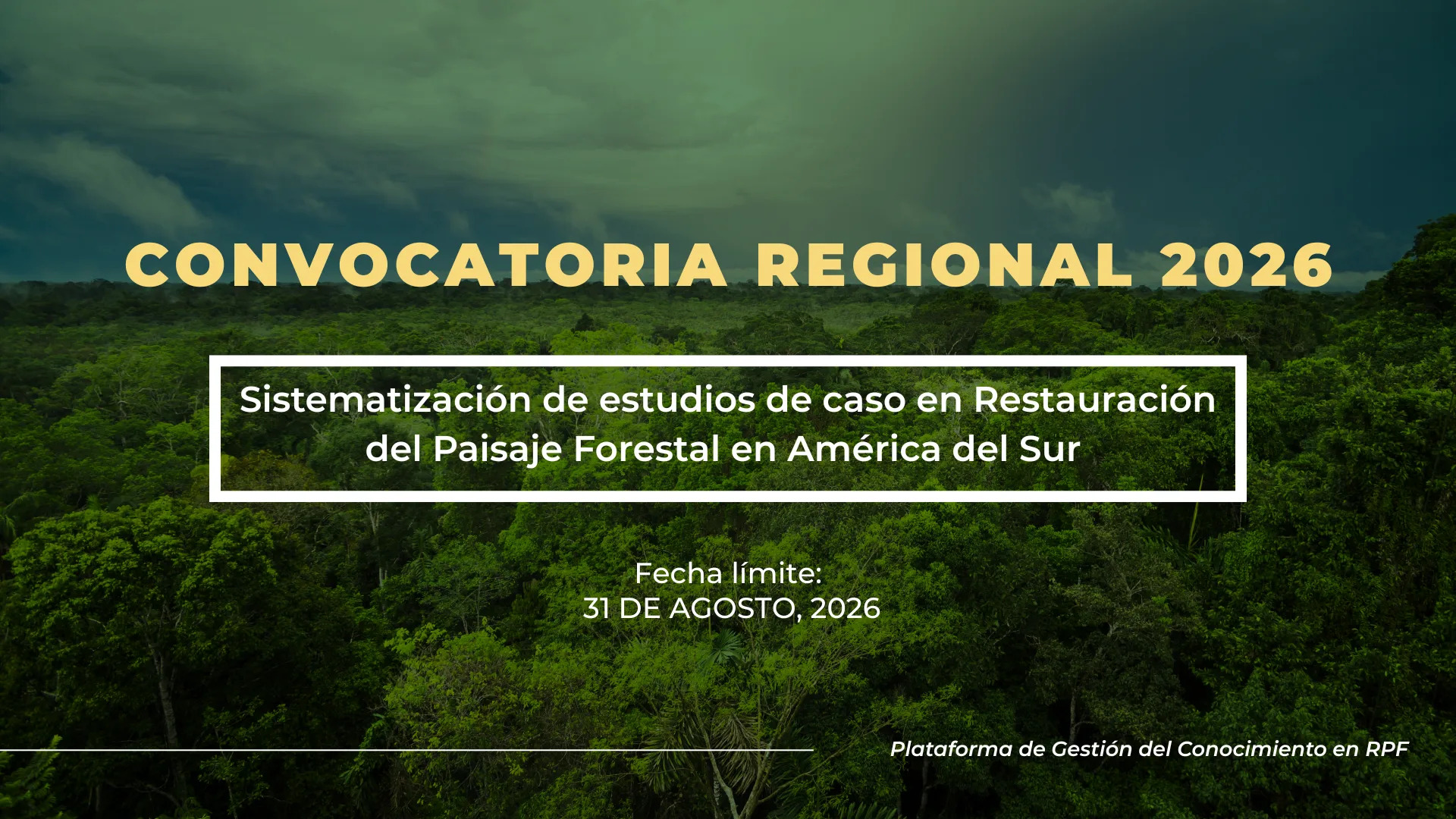 Convocatoria Sistematización de estudios de caso en restauración del paisaje forestal