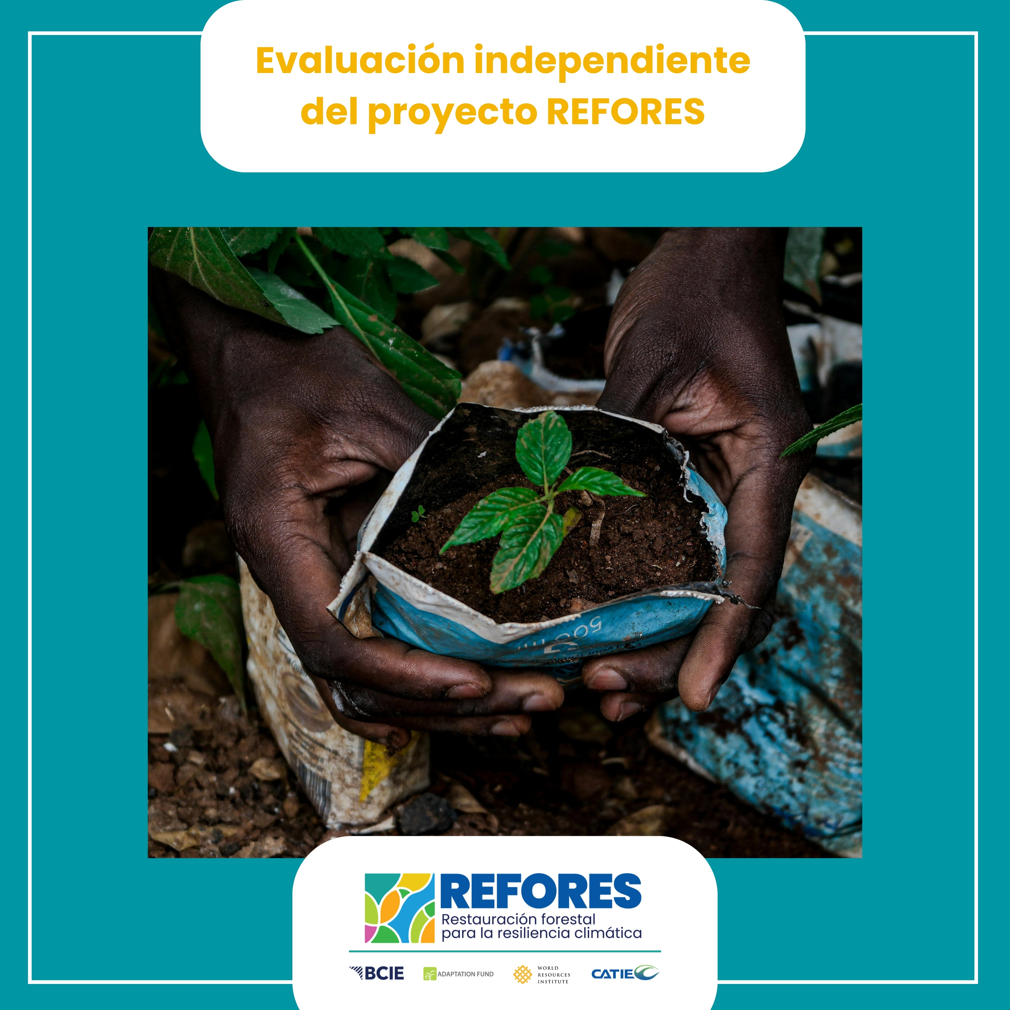 Convocatoria proyecto REFORES