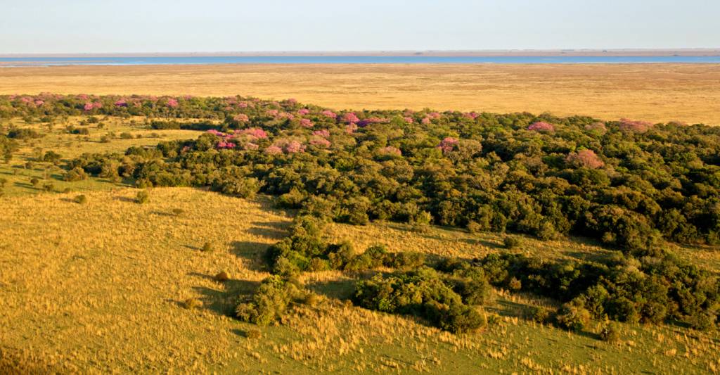 corrientes