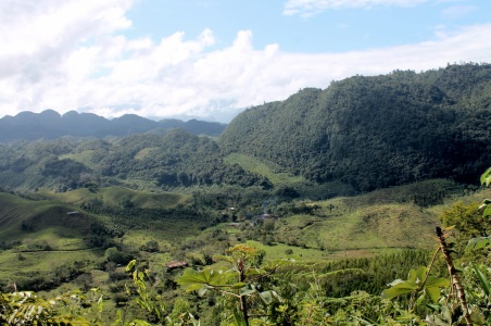 Building a sustainable farm and preserving natural forests in Guatemala ...