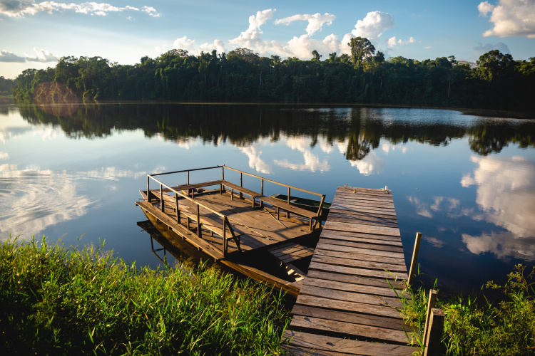 Perú Puerto Maldonado - Madre de Dios. Foto: Adobe Stock - henry