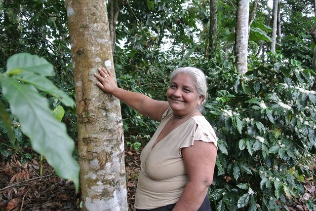 Agroforestry leads as investors and governments support land restoration in Latin America