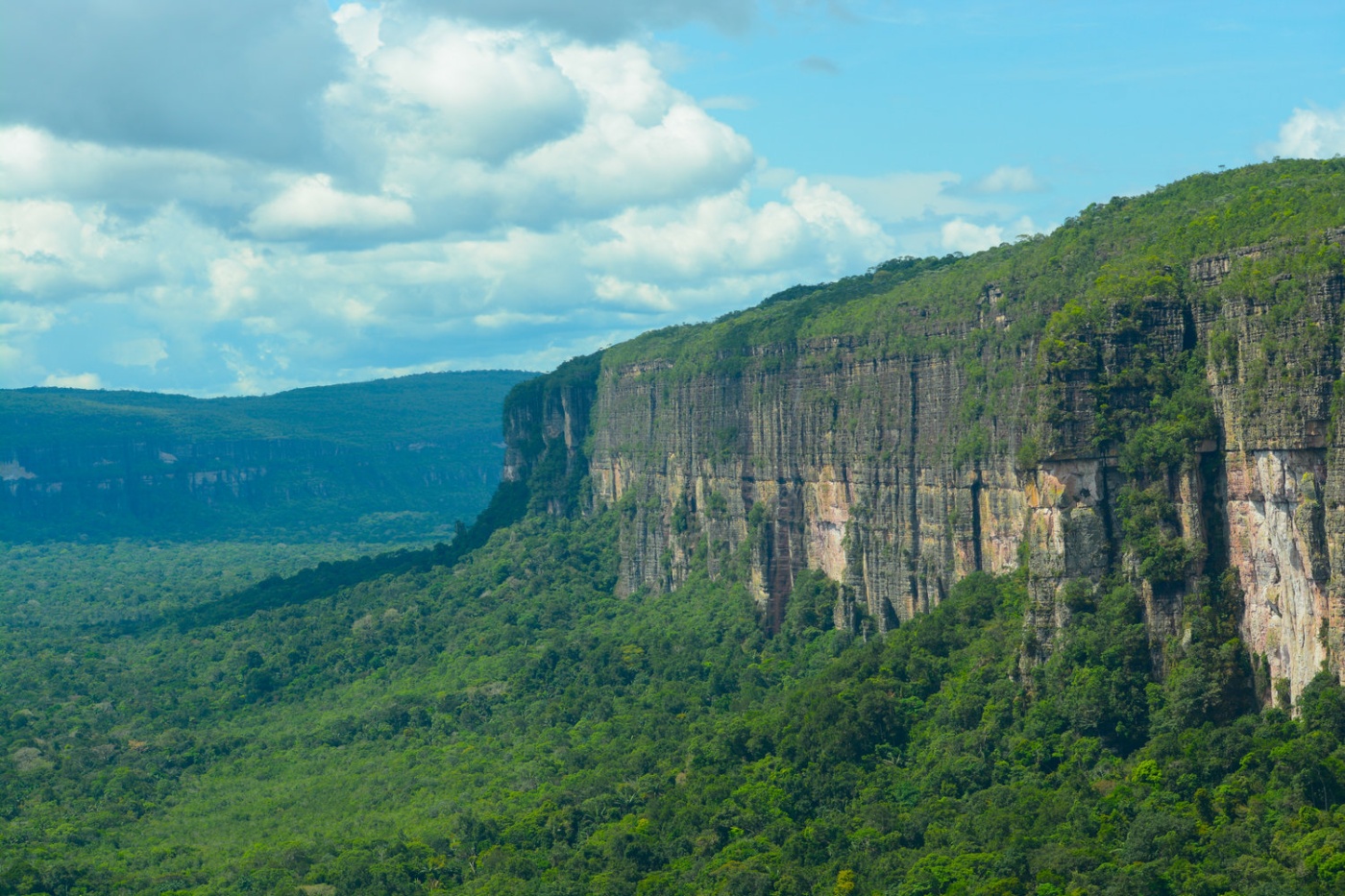 Andes Amazon Fund protects 3.4 million hectares in 2018