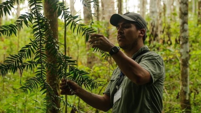 PODCAST: Changing the Dynamics of Land Degradation Throughout Latin America