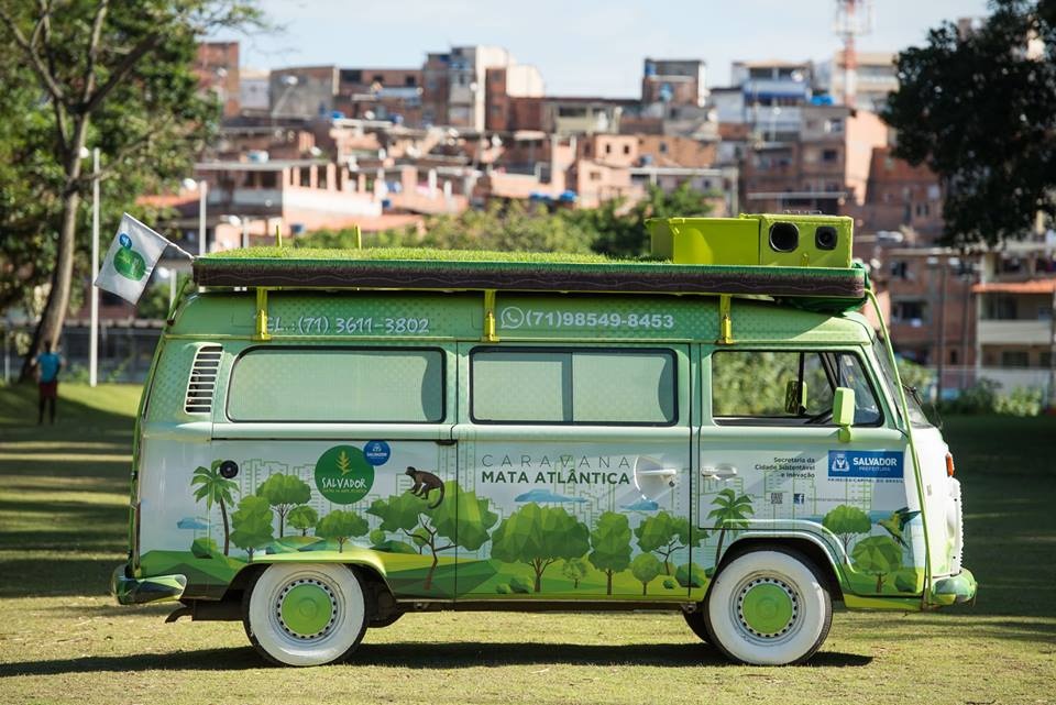 A Tale of Two Cities in Brazil (and the Forest that Connects Them)