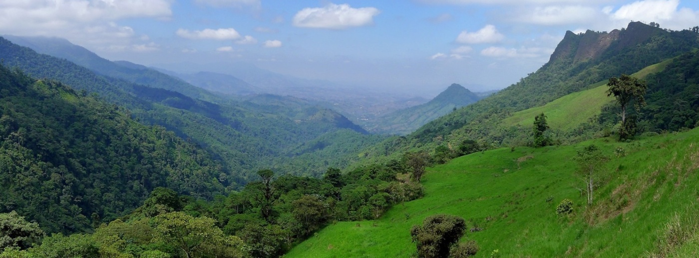 Mobilizing public and private finance for restoring land across Latin America