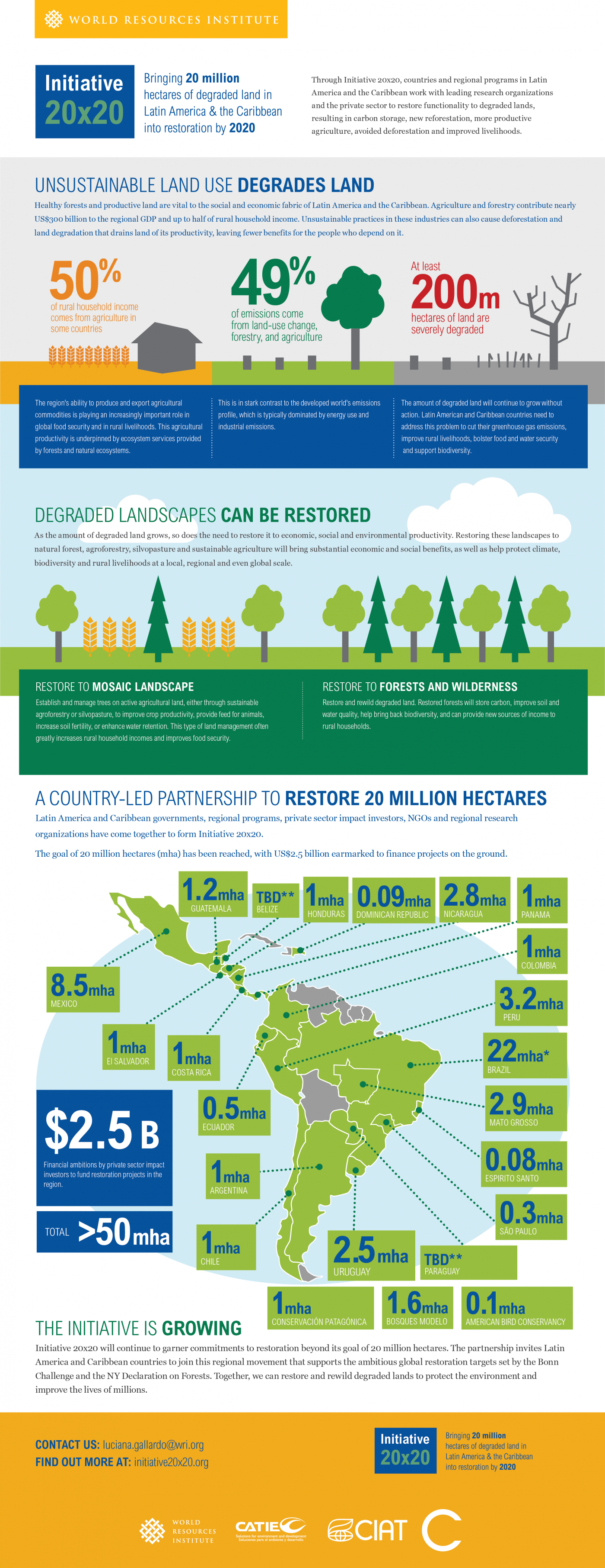 infographic