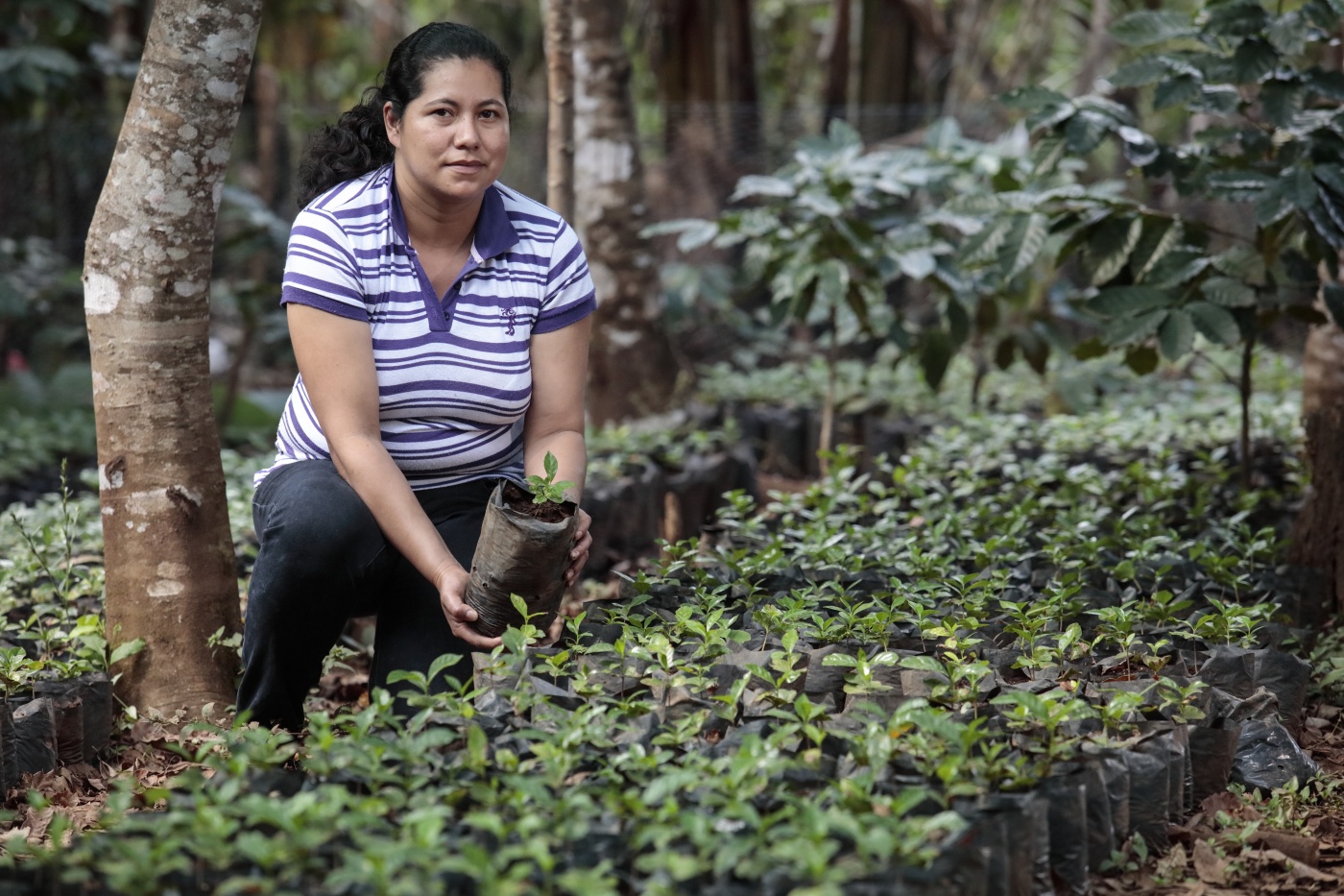 Connecting the People Growing A Trillion Trees the Right Way