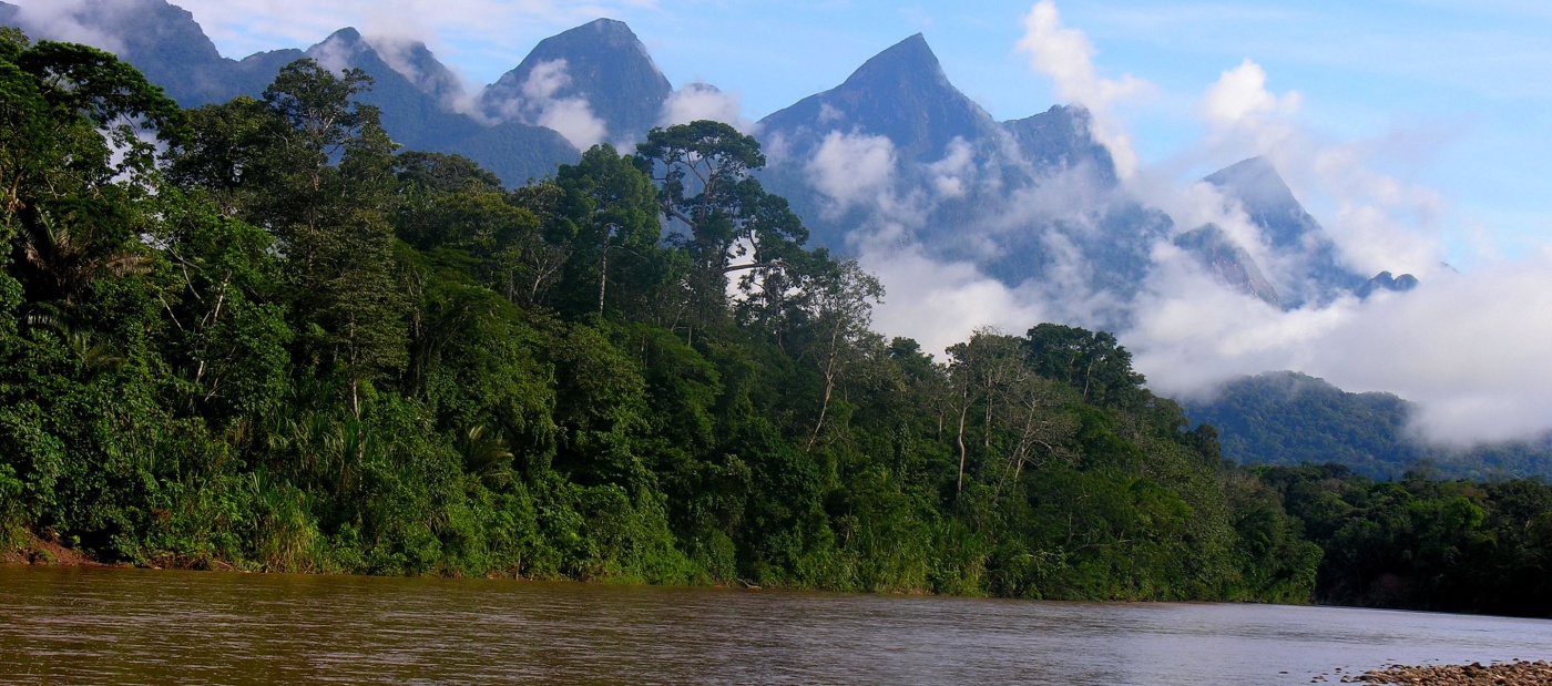 Permian Global: Companies protecting Latin America's forests to fight climate change