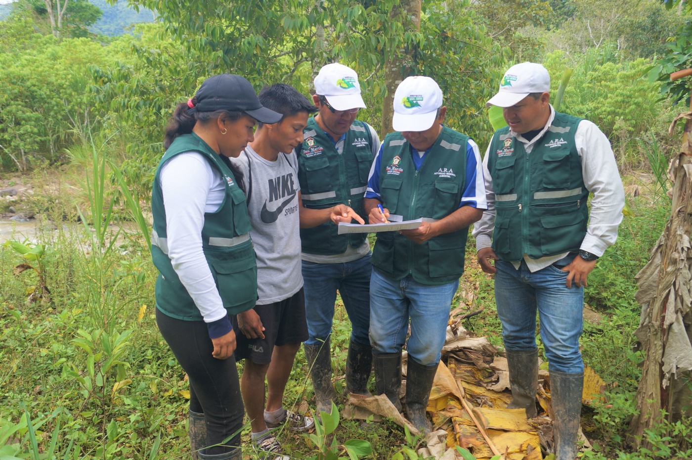 San Martín Región Que Fomenta Iniciativas De Restauración Del Paisaje Forestal Con Inversión