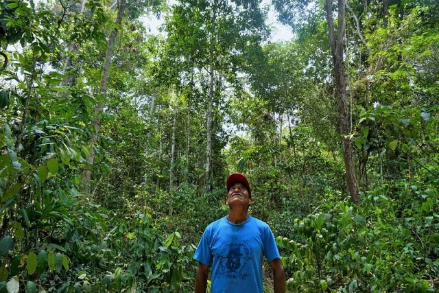 Mining Threatens 20% of Indigenous Lands in the Amazon