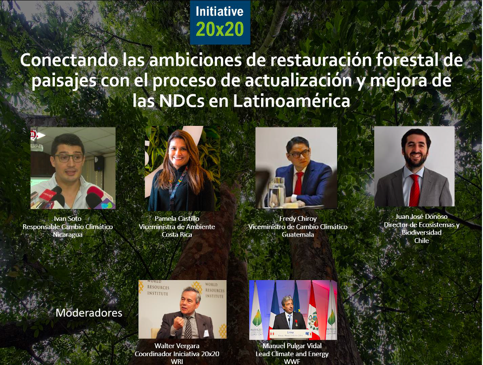 Resumen de seminario en línea: Conectando las ambiciones de restauración forestal de paisajes con el proceso de actualización y mejora de las NDCs en Latinoamérica