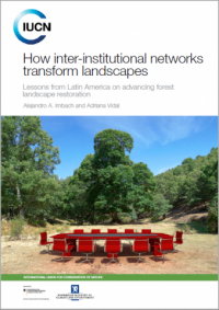 How inter-institutional networks transform landscapes
