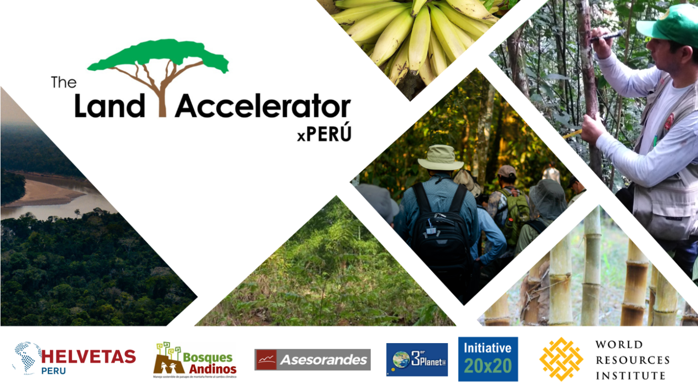 Conozca a 25 Emprendedores que Conservan y Restauran Bosques y Paisajes Agropecuarios en Perú