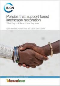 Policies that Support Forest Landscape Restoration