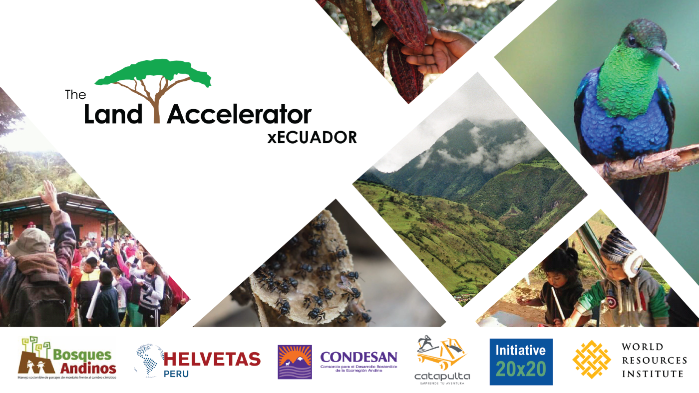 Conozca a 23 Emprendedores que Conservan y Restauran Bosques y Paisajes en Ecuador