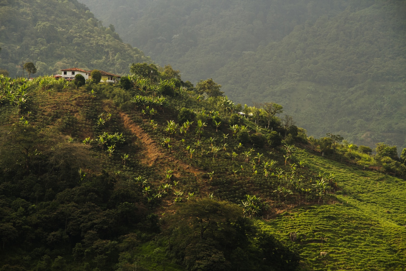 Parque Nacional Natural Farallones de Cali, Colombia