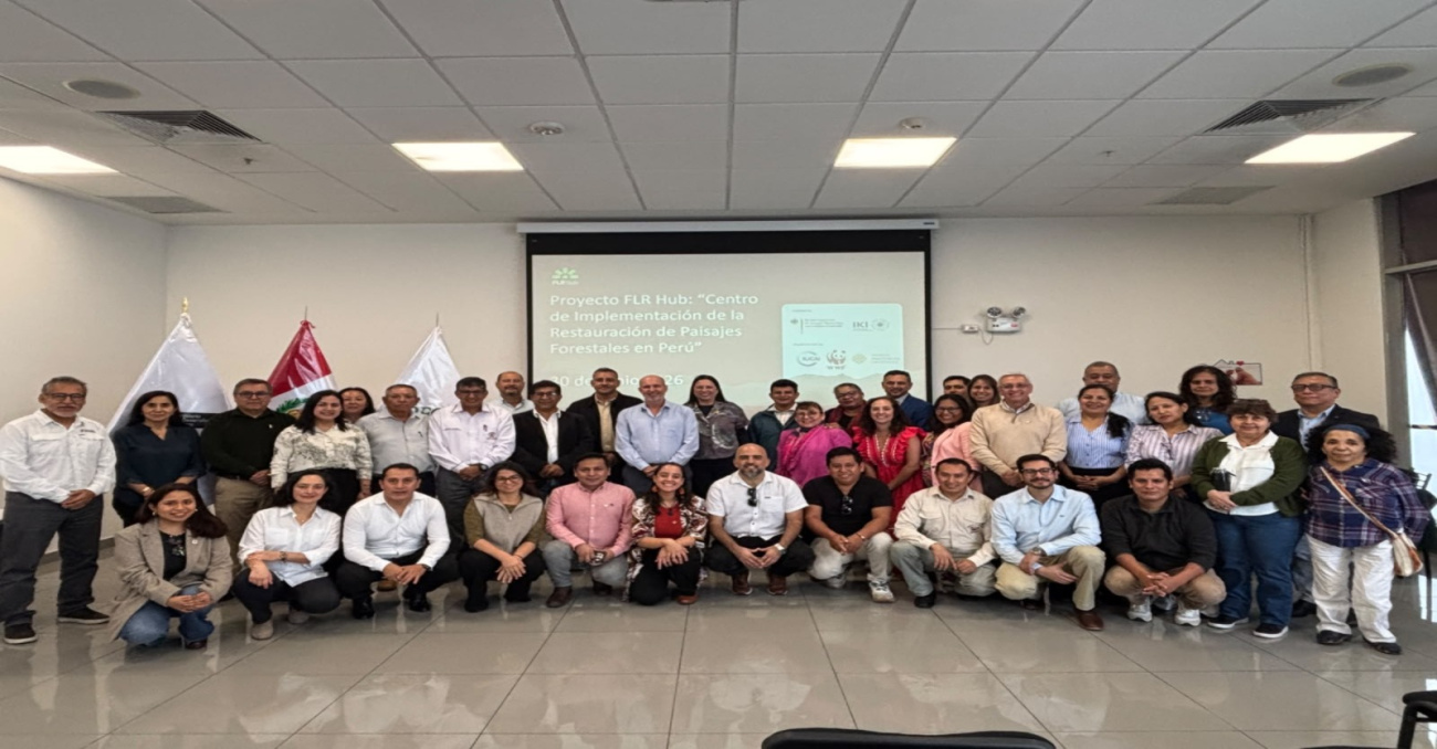 Roundtables on incentives