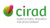 CIRAD