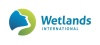 wetlands international logo