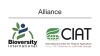 Bioversity International-CIAT