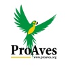 ProAves Logo