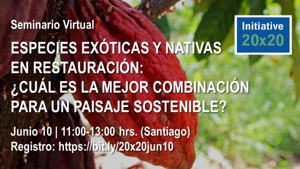 WEBINAR: Especies Exóticas y Nativas en Restauración: ¿Cuál es la mejor combinación para un paisaje sostenible?