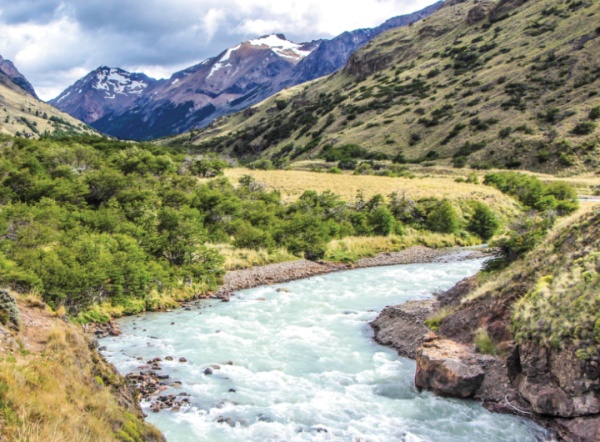 Webinar: Conectando las ambiciones de restauración forestal de paisajes con el proceso de actualización y mejora de las NDCs en Latinoamérica