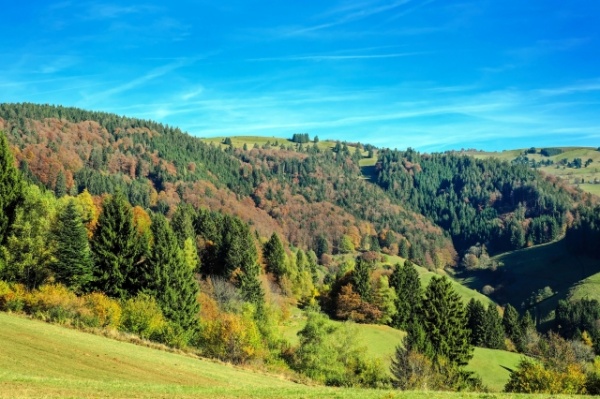 Webinar: From Carbon Source to Carbon Sink: Using Regenerative Agriculture to Mitigate Climate Change 