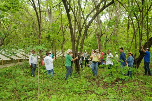 Cuatro retos operacionales para escalar la restauración de paisajes