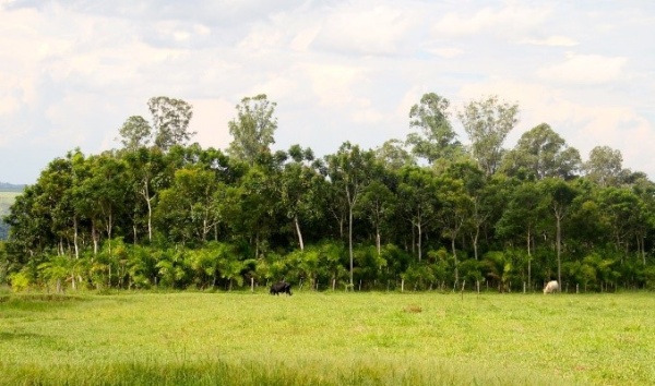 Landscape in Brazil's Sao Paulo State