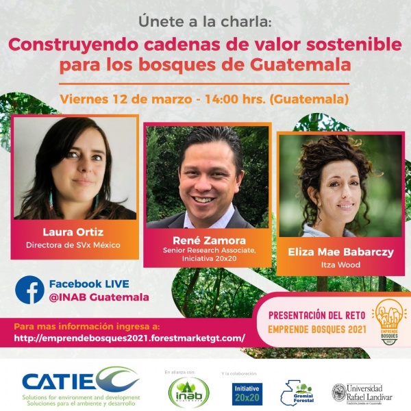 Construyendo cadenas de valor sostenible para los bosques de Guatemala