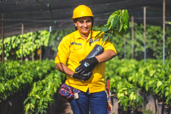 A woman holding a cacao tree sapling