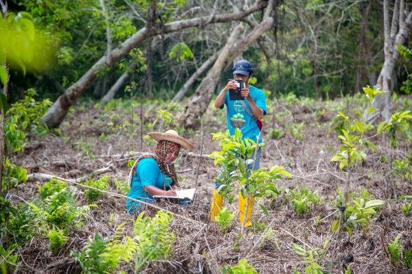 ¡Participa! Un diagnóstico sobre el monitoreo colaborativo en la Restauración del Paisaje Forestal