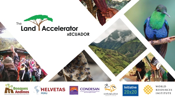 Join the entrepreneurs of the Land Accelerator x Ecuador as they present their business models