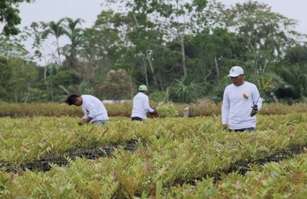men in tree nursery