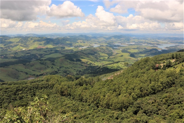 La regeneración natural asistida: Cómo las personas ayudan a los bosques a regenerarse