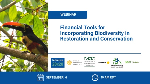 Financial Tools for Incorporating Biodiversity in Restoration and Conservation