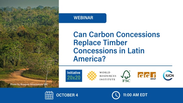 Can Carbon Concessions Replace Timber Concessions in Latin America?