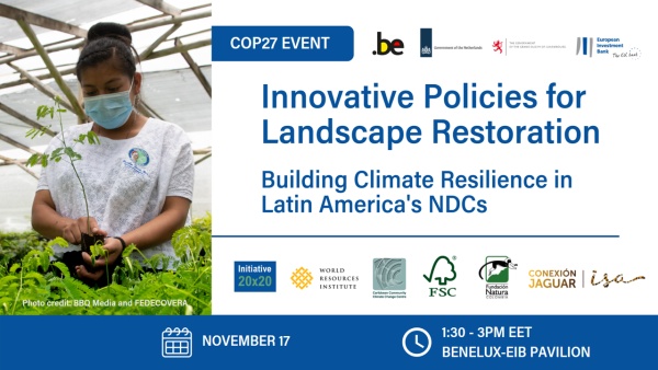 Innovative Policies for Landscape Restoration: Building Climate Resilience in Latin America's NDCs